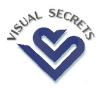 Visual Secrets Logo